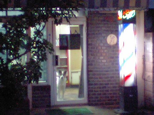 e0108126_21492130.jpg