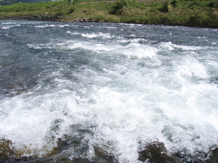 f0103126_8144190.jpg