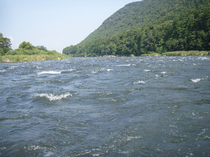 f0103126_8155472.jpg