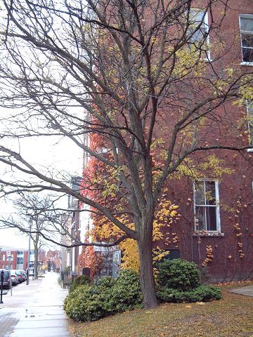 f0111926_14253435.jpg