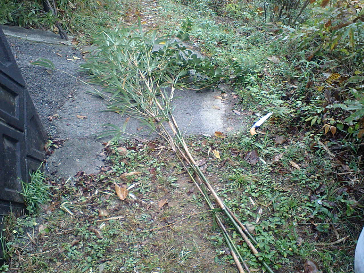 c0117028_15565745.jpg
