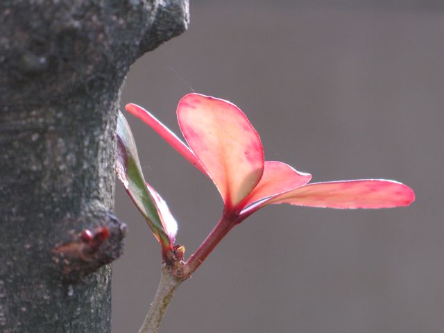 c0019131_2115330.jpg