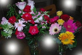 c0019433_1412291.gif