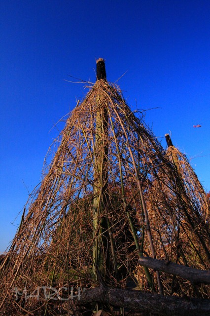 e0146037_093995.jpg