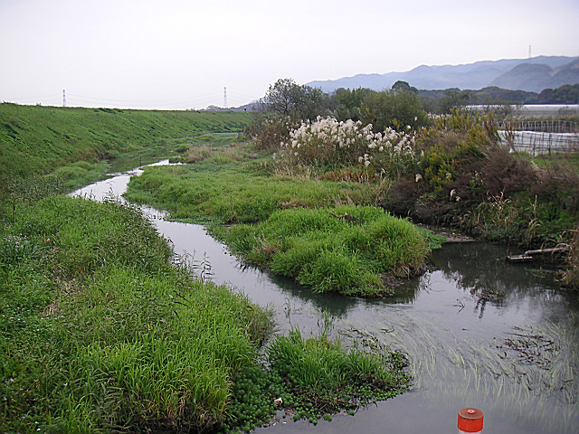 b0088444_22154429.jpg