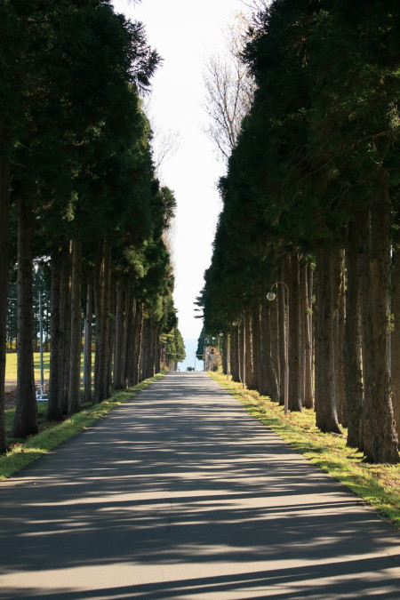 真っ直ぐな道 函館フォトblog 真っ直ぐな道 函館フォトblog