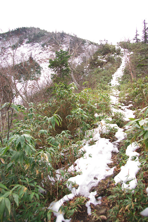 d0098645_18441996.jpg