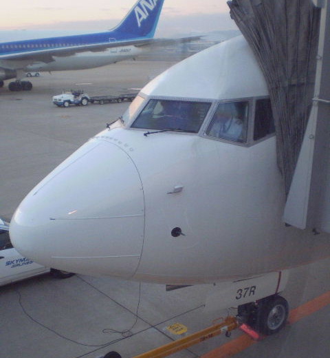 こつこつ上京編① SKYの737を観察してみよう！ : こつこつ旅客機。