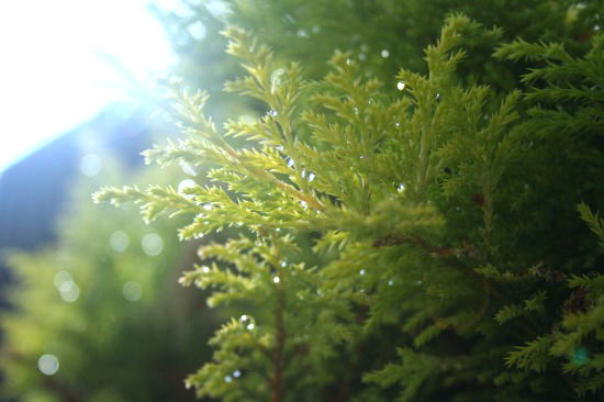 e0126350_23372720.jpg