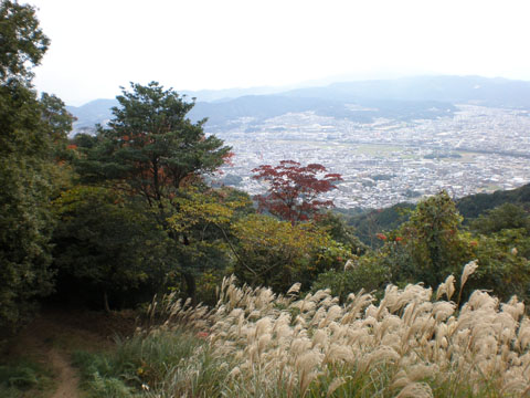 c0125356_23143636.jpg