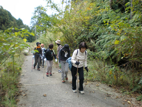 c0125356_238937.jpg