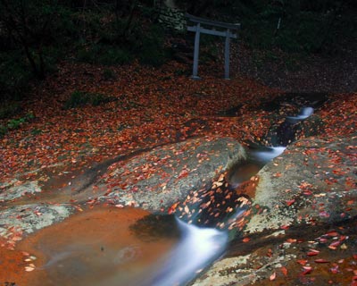 e0035757_1723276.jpg