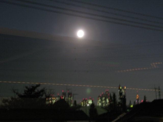 Moon and fireflies_c0157558_2248549.jpg