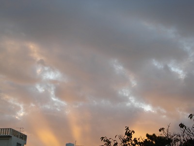 b0086362_1411337.jpg