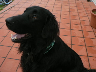 f0065568_1924634.jpg