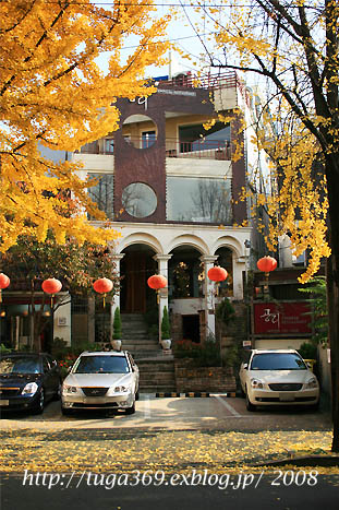 e0029472_1103221.jpg