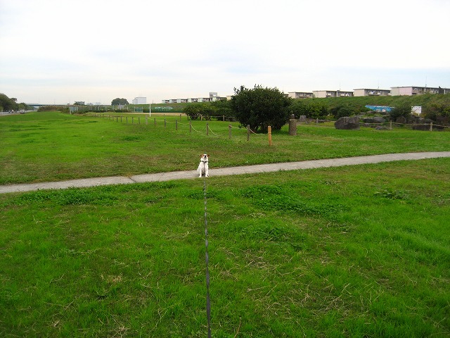 e0106372_8535368.jpg