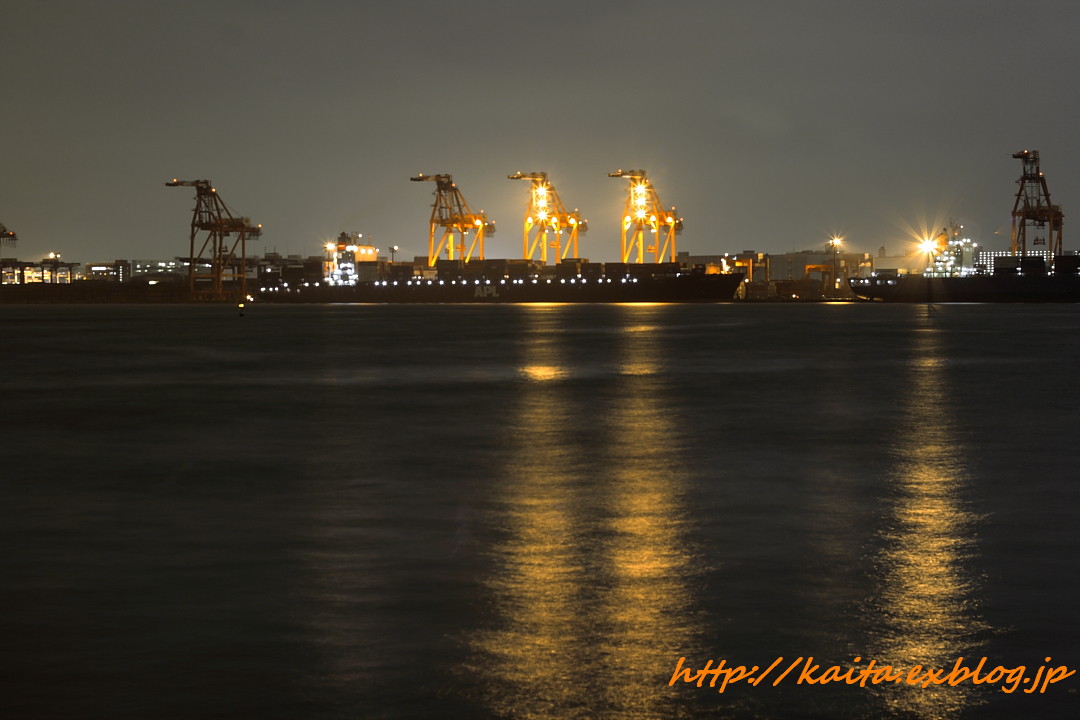 Port at Night_f0192875_2202166.jpg