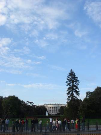 White House_d0078978_18512481.jpg