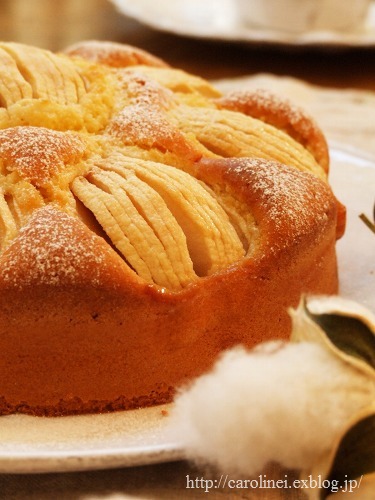 りんごのケーキ_d0025294_177873.jpg