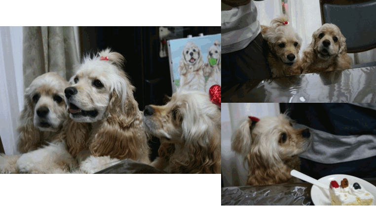 c0128303_1212973.gif