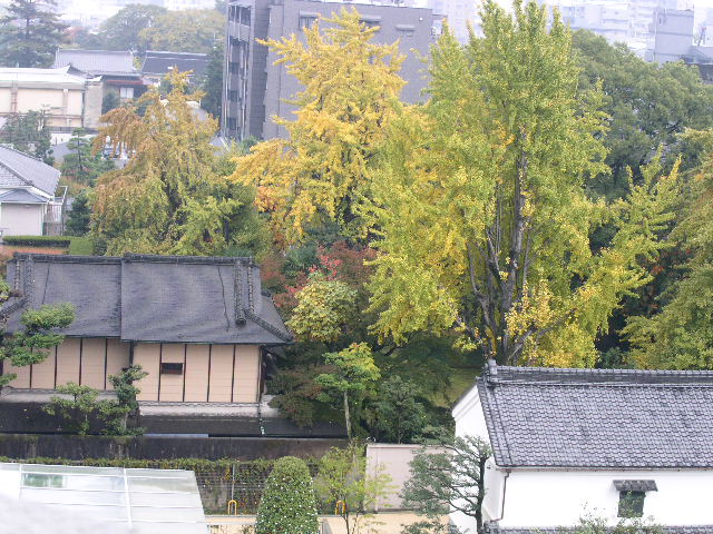 c0152507_4595989.jpg