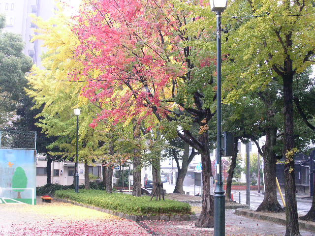 c0152507_503098.jpg
