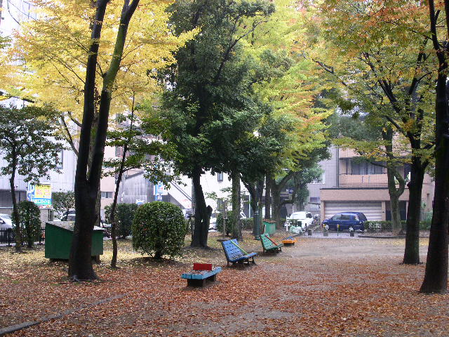 c0152507_504558.jpg