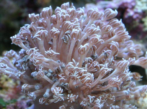 c0165807_130453.jpg