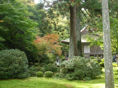 d0069411_23135147.jpg