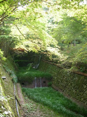 d0069411_2362870.jpg