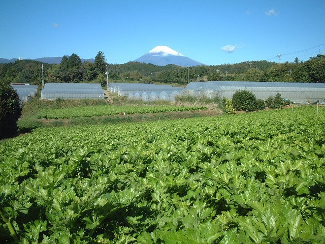 f0182513_10161636.jpg