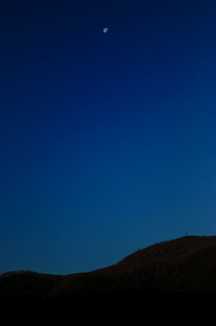 d0019422_1528284.jpg