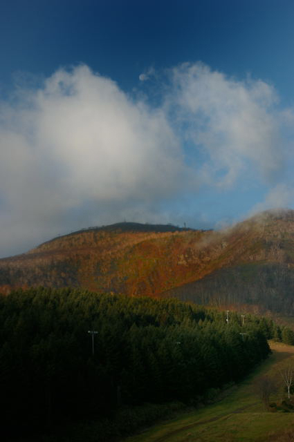 d0019422_15322483.jpg