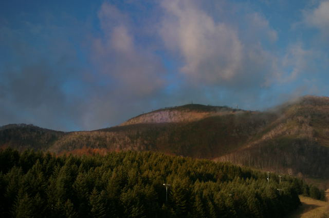 d0019422_15324128.jpg