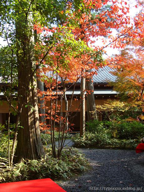 金閣寺の茶処でいただく 抹茶と和三盆_c0076823_2343310.jpg