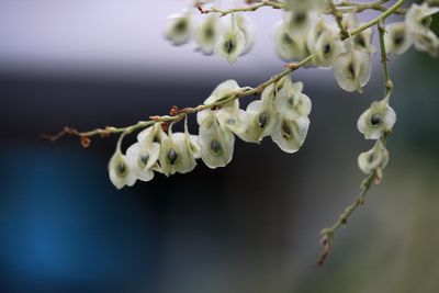 c0104227_2314276.jpg