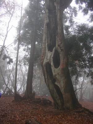 c0029332_23243173.jpg
