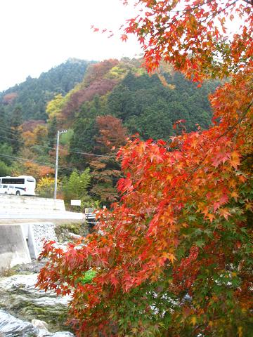 続・天空の村　　2008/11/16_e0061038_22572915.jpg