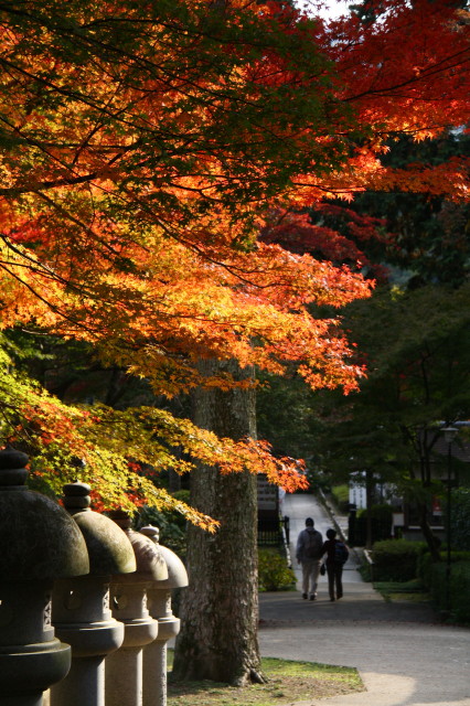 染まる秋　久安寺　#4_e0039744_20261140.jpg