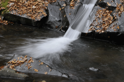 c0093046_7174642.gif