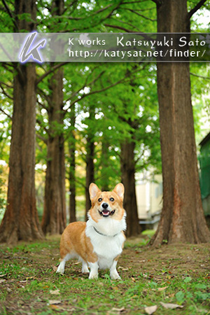 佐藤さん撮影 サンプルカット少しご紹介♪_b0090947_21555973.jpg