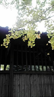 まりこです。なーーーーーーーーーーーーーー_d0122950_937725.jpg