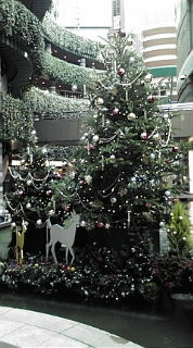 まりこです。なーーーーーーーーーーーーーー_d0122950_9405127.jpg