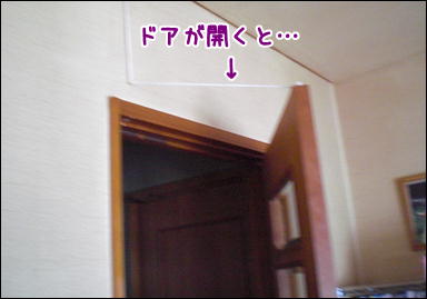 自動ドア 猫は百薬の長なりぃ 自動ドア 猫は百薬の長なりぃ
