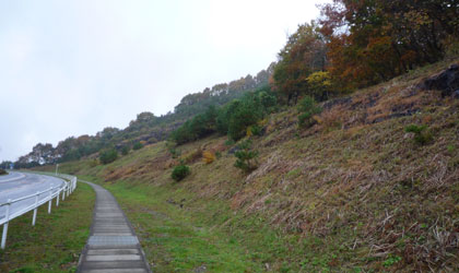 c0039153_04841.jpg