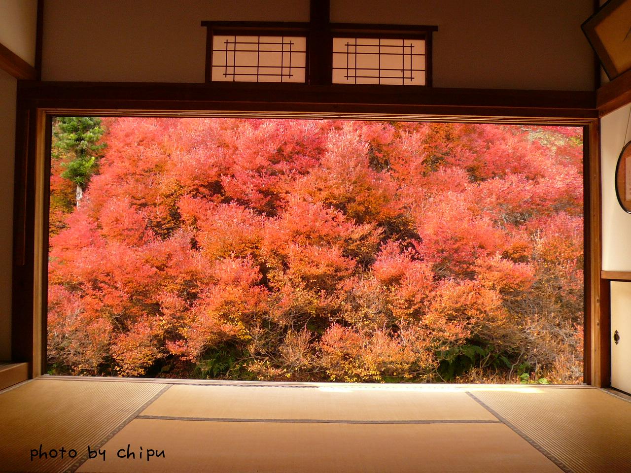 安国寺の紅葉～松葉ガニ～城崎温泉_e0154553_1259045.jpg