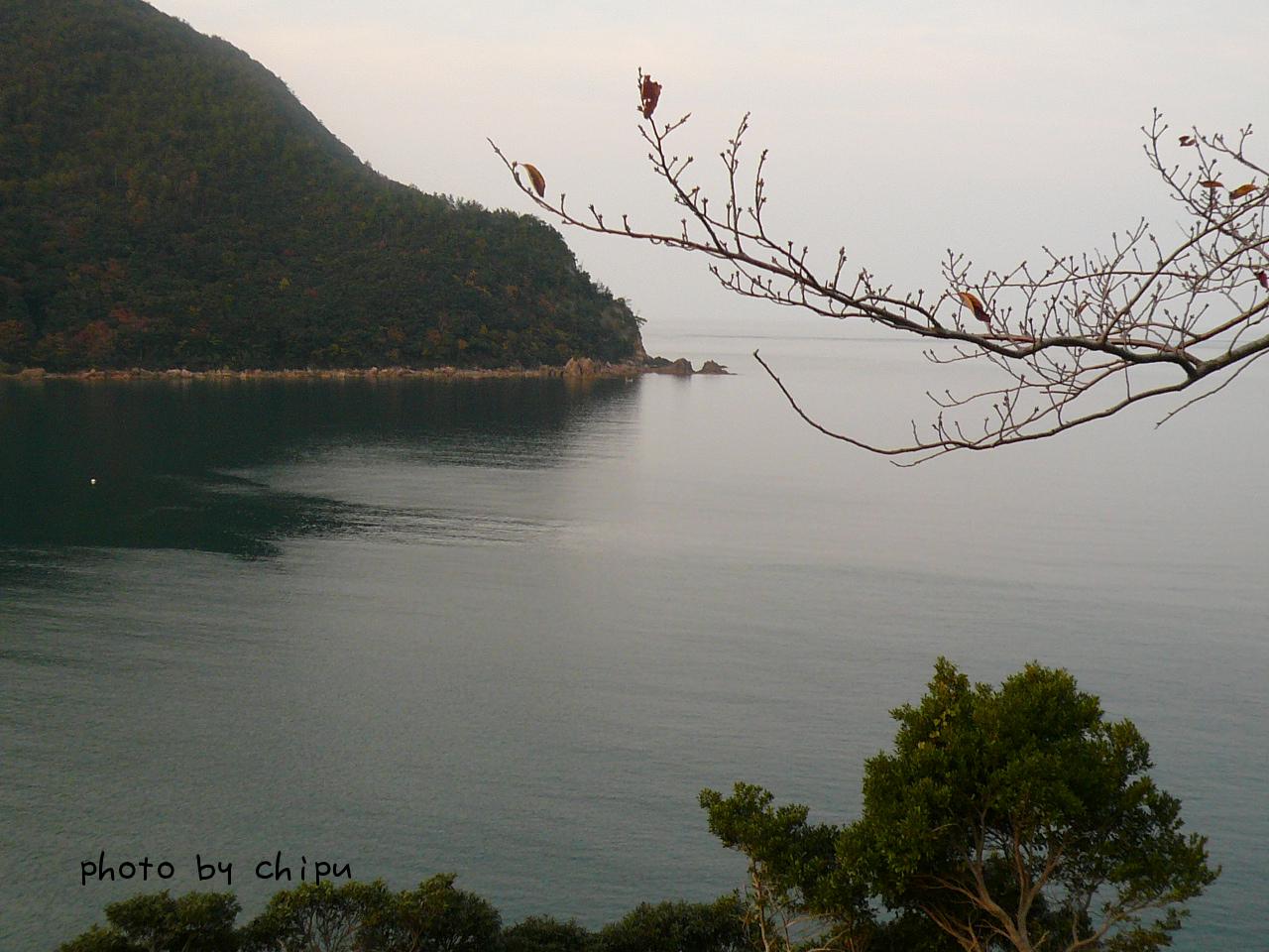 安国寺の紅葉～松葉ガニ～城崎温泉_e0154553_1310099.jpg