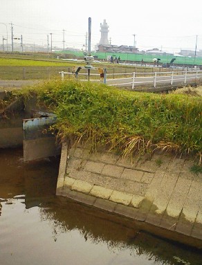 「水辺の祭祀」跡～荒尾南遺跡～②_f0197754_21521531.jpg