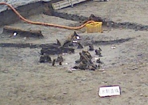 「水辺の祭祀」跡～荒尾南遺跡～②_f0197754_21594547.jpg